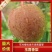 山西玉露香梨种植基地供应全国超市，礼品水果店