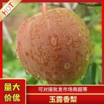 山西玉露香梨大量供应产地直发量大可优惠欢迎咨询
