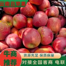 【昭通苹果】云南丑苹果冰糖心一条龙产地直发有需来电详谈