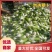 淮阳水洗青萝卜发市场入库酱菜厂大量供应