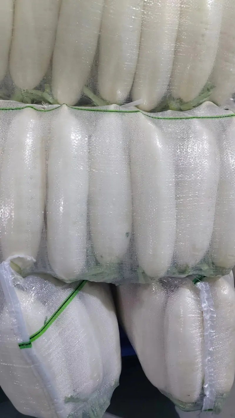 湖北沙洋白萝卜货源充足产地直发质量保证