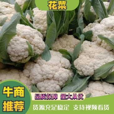 精品花菜棵大饱满湖北花菜产地直发货源充足量大从优