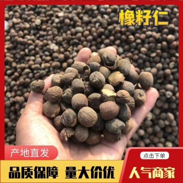 南阳野生橡子仁大橡仁大青岗脱壳加工晒干品质保证
