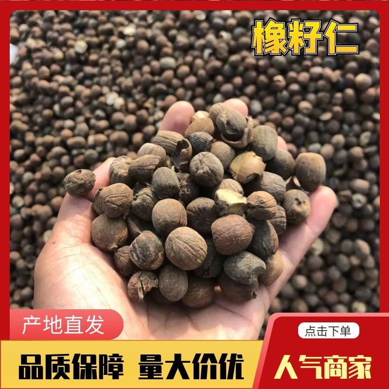 南阳野生橡子仁大橡仁大青岗脱壳加工晒干品质保证