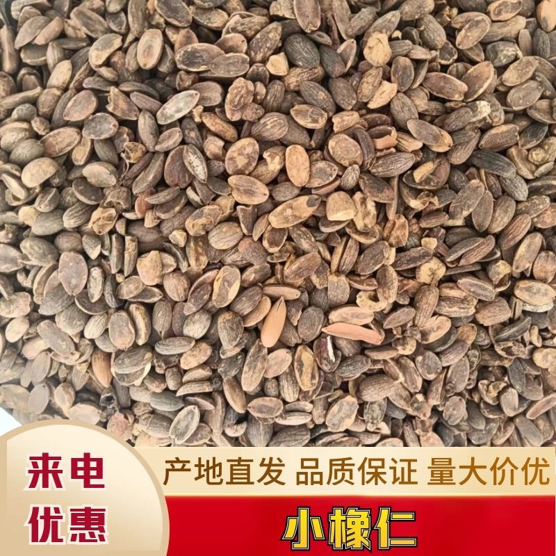 河南橡实大小均匀自然晒干产地直发量大优惠品质保证