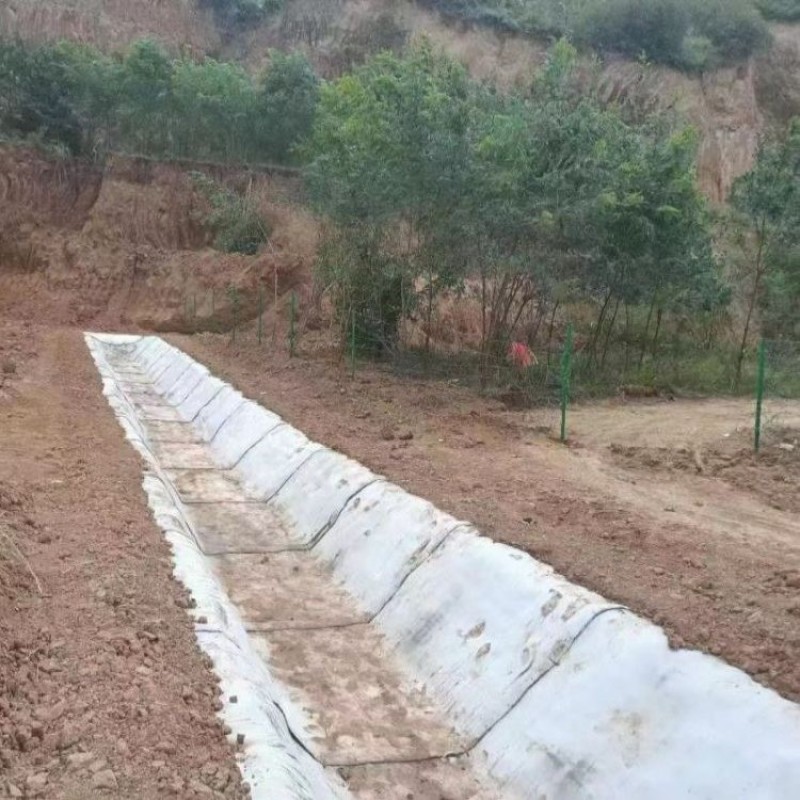 水泥毯10公斤土工膜浇水固化河堤水渠用厂房地基