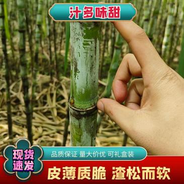 青皮甘蔗产地，浙江温州瑞安市全国名特优新农产品