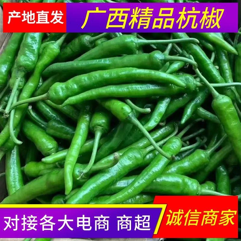 有大量杭椒二号椒出售品种多，质量好，价格优惠，