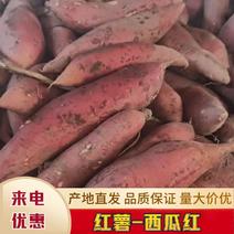 优质地道山东临沂西瓜红红薯货量充足大量批发