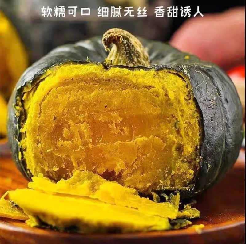 【优选】自产自销贝贝南瓜规模庞大量大无中间商欢迎视频看货