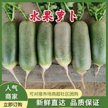 山东枣庄滕州自家种植一手价格大量出售水果萝卜物美价廉量大质优