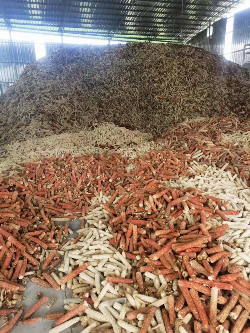 四川玉米杂颗粒，基地直供，一手货源品质保证欢迎采购