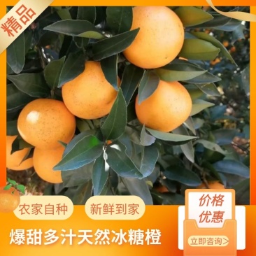 【冰糖橙】现摘现发皮薄多汁口感甘甜来电优惠商超品质