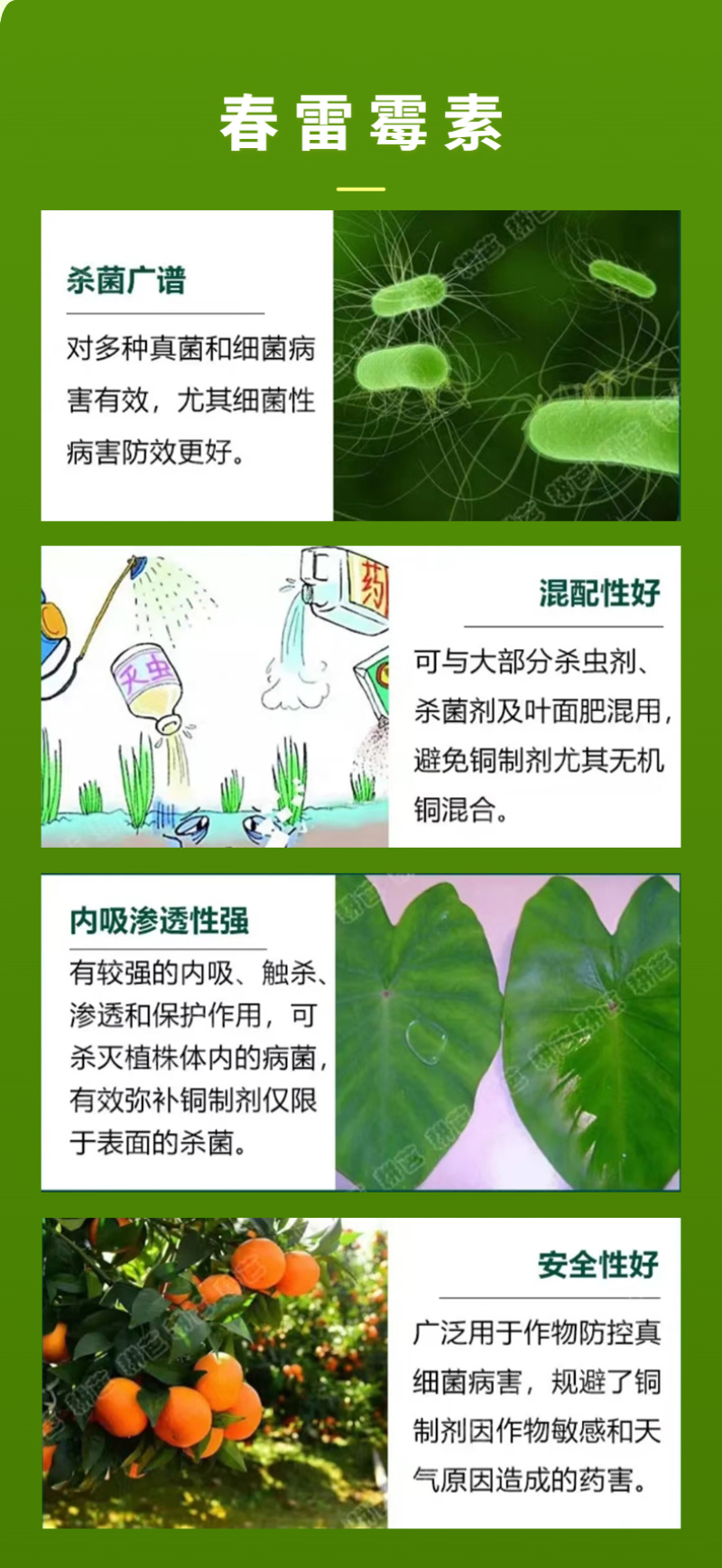 春雷霉素2%溃疡角斑疮痂根腐软腐青枯等细菌病害