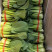 【白菜】辽宁小白菜大量供应保证品质可视频看货