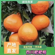 【农户价】耙耙柑细皮口感好纯甜货量充足全国批发