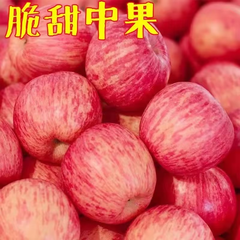山东水晶红富士富士苹果【一件代发】电商团购下单包邮
