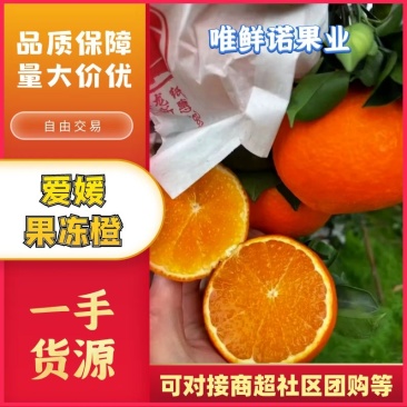 【果冻橙】爱媛橙精品四川直发新鲜采摘量大从优电联优惠