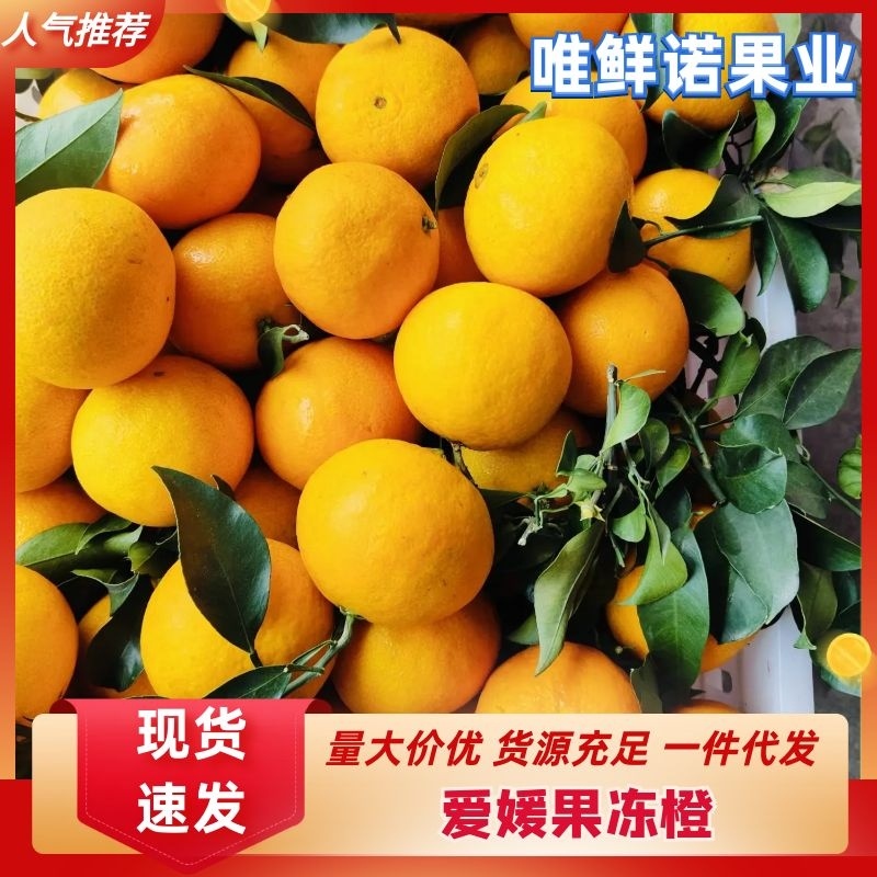 【爱媛果冻橙】新品上市原产地直发支持一件代发整车发电联