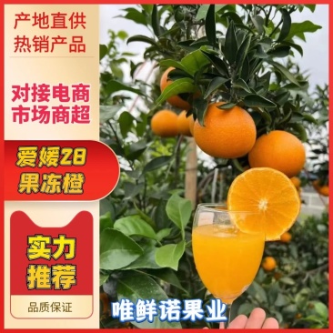 【爱媛28】新品上市支持一件代发整车发货物流发货