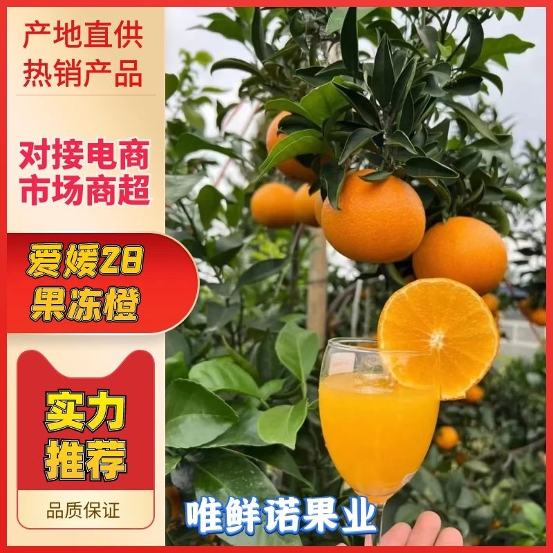 【爱媛28】新品上市支持一件代发整车发货物流发货