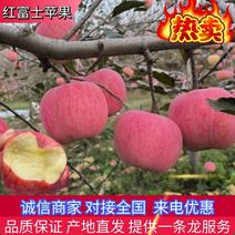 【苹果】山东红富士苹果皮薄多汁量大从优品质保证
