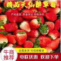 安徽精品天仙醉草莓基地直发品质保证一手货源