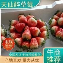 安徽精品天仙醉草莓，货源充足产地直发品质保证量大从优