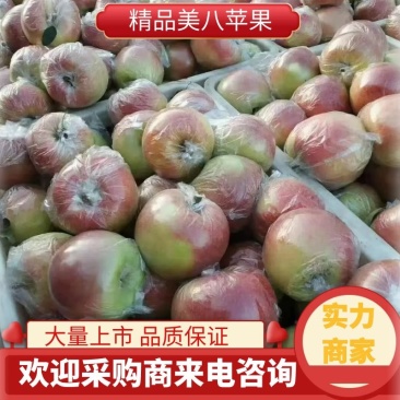 山东苹果美八大量供应产地直发各种苹果均有欢迎来电洽谈