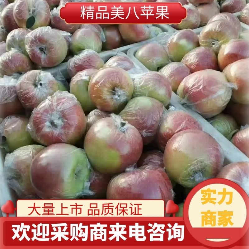 山东苹果美八大量供应产地直发各种苹果均有欢迎来电洽谈