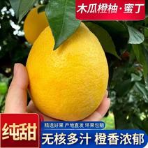 平和柳橙木瓜蜜丁产地直供大量上市品质保证全国发货