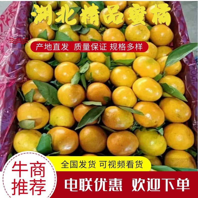 蜜橘丹江口蜜橘产区直发保质保量发货全国