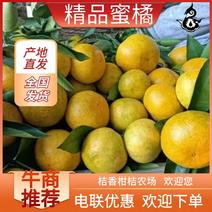 蜜橘丹江口蜜橘早熟细皮70以上蜜橘产区直发保质保