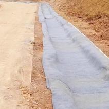 水泥毯淋水固化鱼塘护坡河道沟渠水沟改造固坝防渗防护混凝土