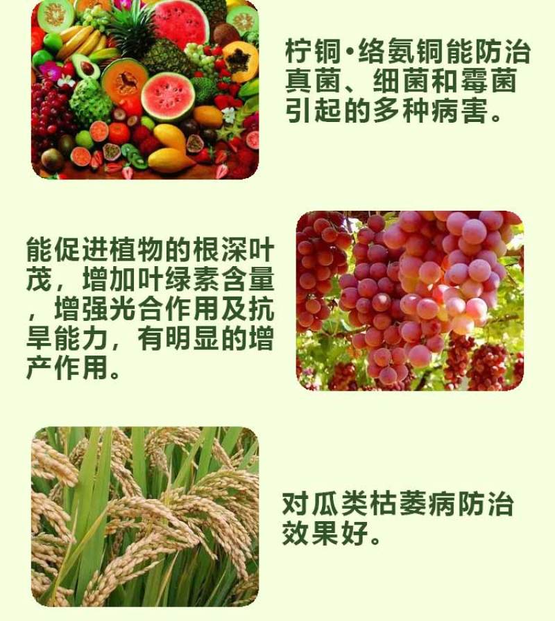 柠铜络氨铜溃疡病青枯病蔓枯病姜瘟病疮痂病细菌性病害