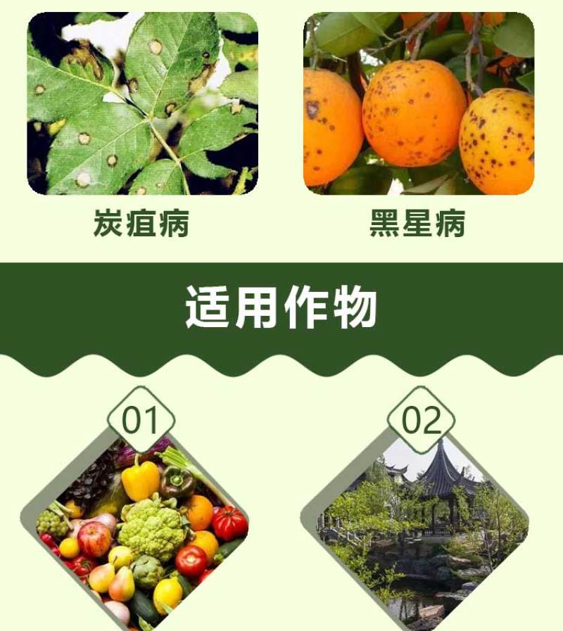 柠铜络氨铜溃疡病青枯病蔓枯病姜瘟病疮痂病细菌性病害