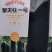 黑皮大冬瓜种子，炮弹冬瓜种子，硕源擎天柱一号，心腔小