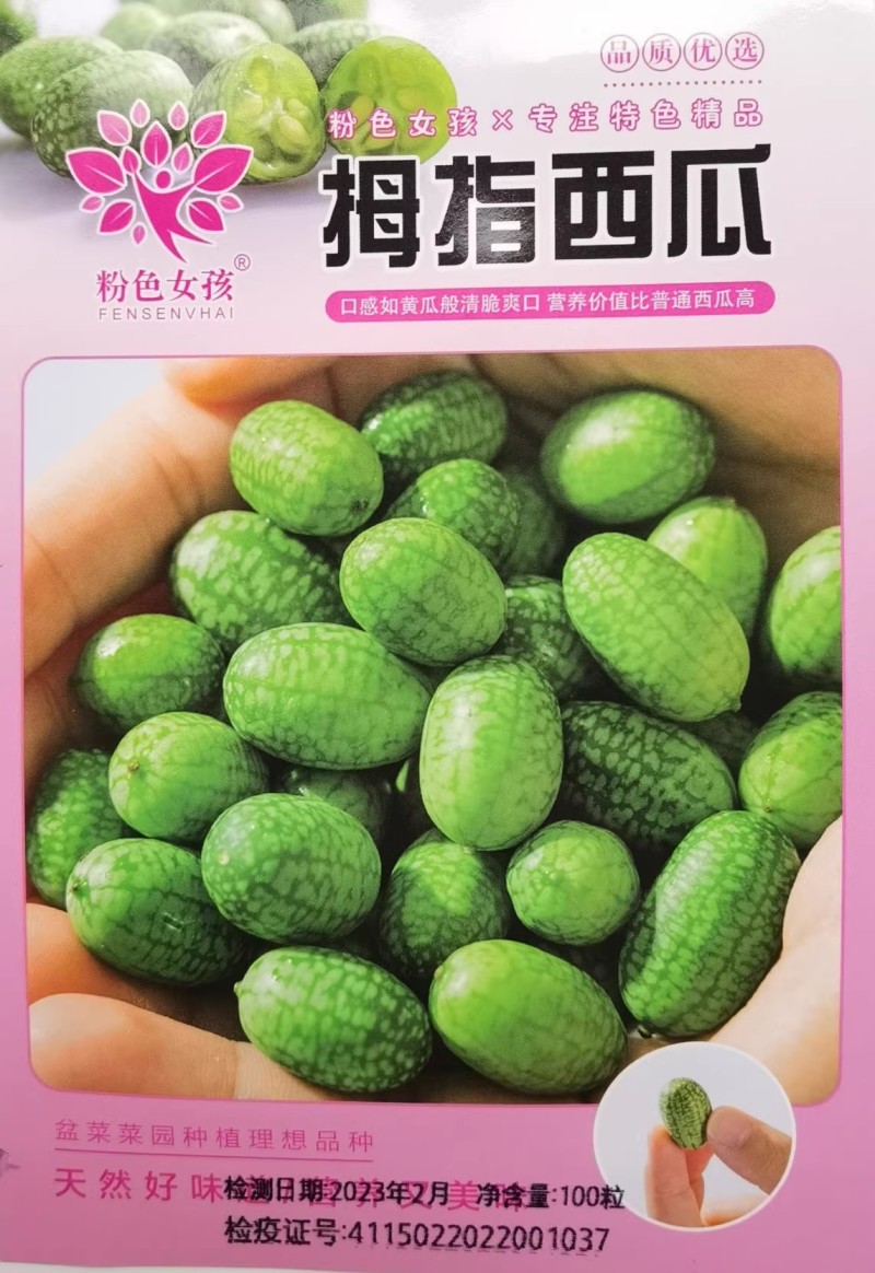 拇指西瓜种子拇指黄瓜种子甜脆爽口耐热耐低温结果多