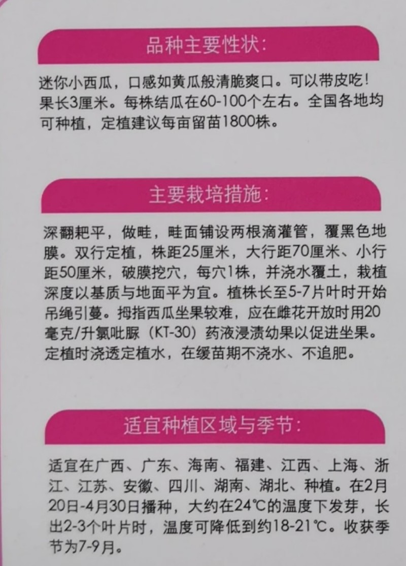 拇指西瓜种子拇指黄瓜种子甜脆爽口耐热耐低温结果多