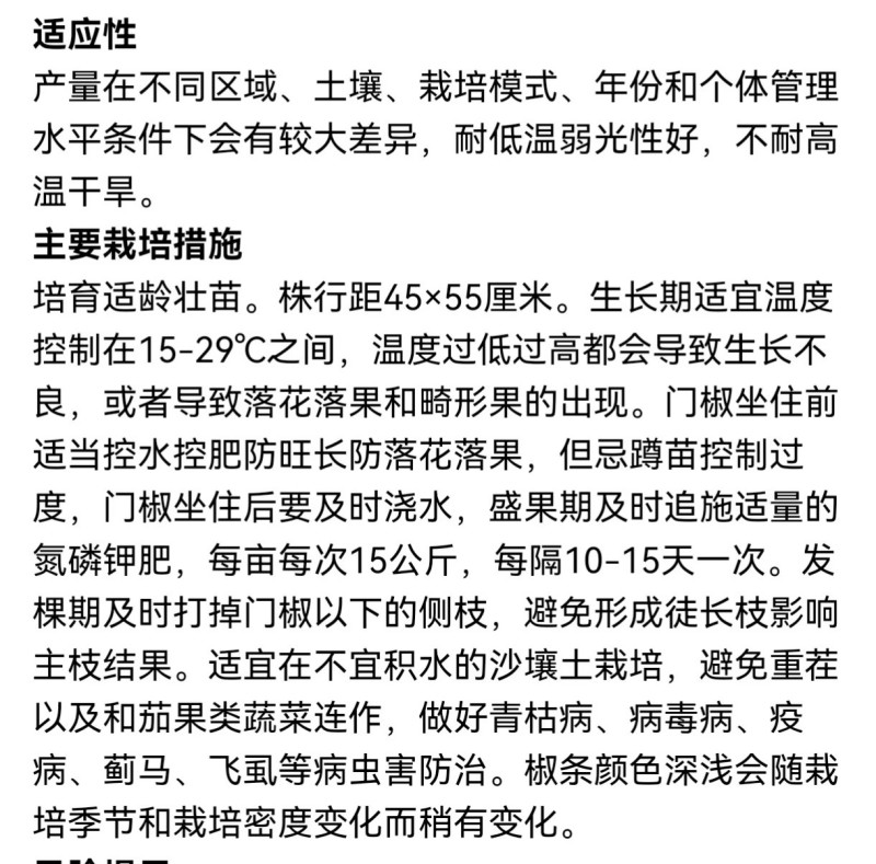 红发薄皮王薄皮椒种子早熟皮薄质脆膨果快辣味适中基地种植