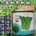 冬春快菜种子，耐寒耐抽苔，越冬快菜，耐湿耐运输，基地用
