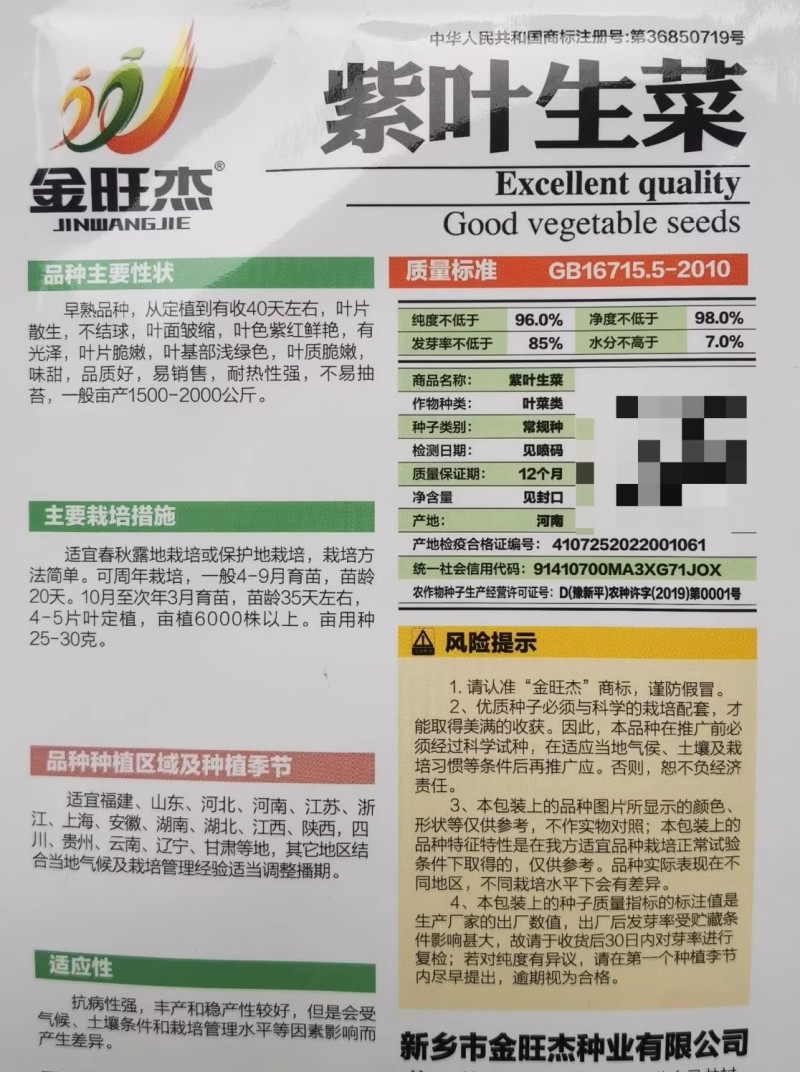 紫叶生菜种子，罗莎红叶生菜种子，沙拉，喜光，耐热，不抽苔