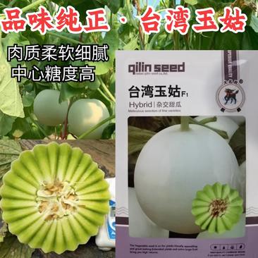 圆果玉姑甜瓜种子，台湾玉菇甜瓜种子，白皮绿肉，抗病，耐热