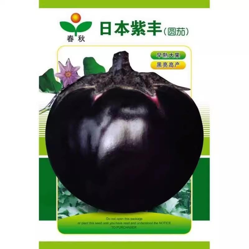 日本紫丰紫黑圆茄种子，黑亮大果茄子种子，果实极大光泽油亮