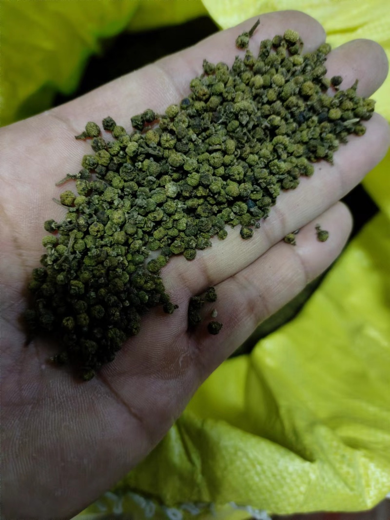 江西中花吴茱萸湖南中花吴茱萸新货颜色好质量保证货量大
