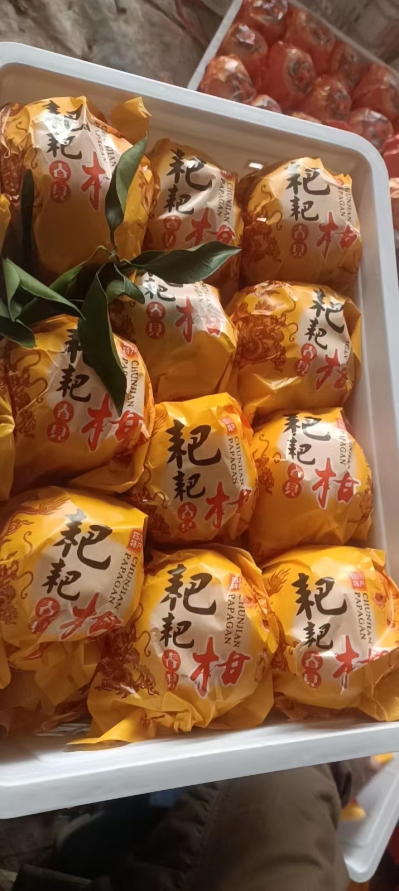 【推荐】四川春见柑桔耙耙柑大量供应专业代办产地直发诚信经营
