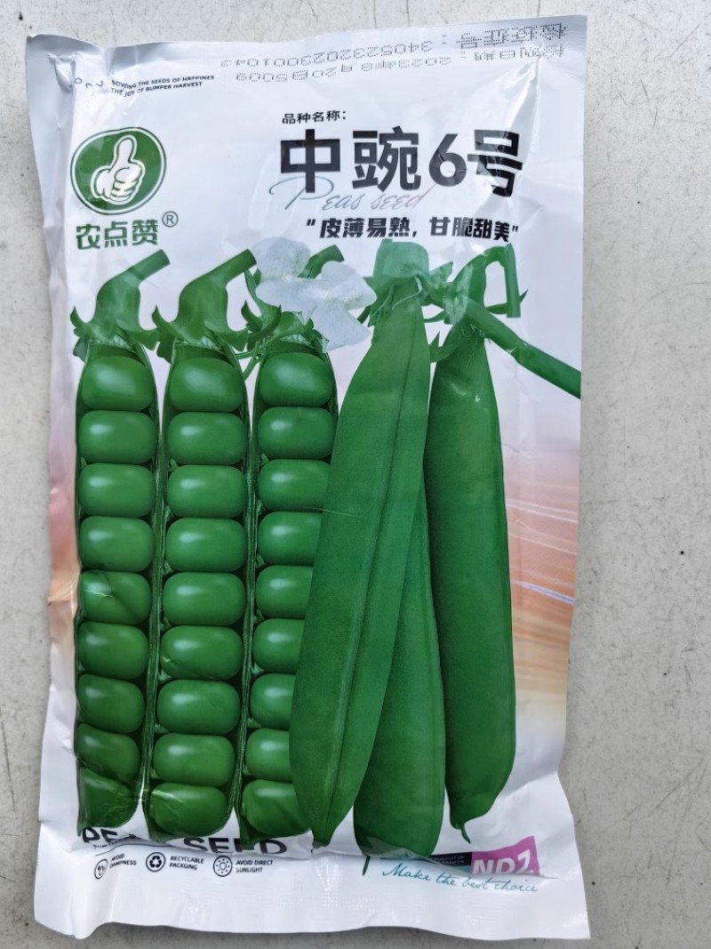 甜脆豌豆种子中碗六号农家四季种植长寿豌豆仁甜豆蔬菜籽