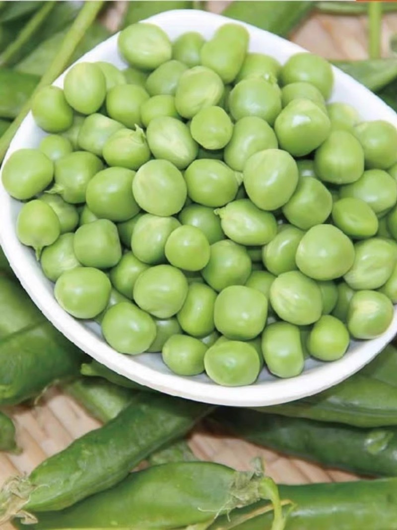 甜脆豌豆种子中碗六号农家四季种植长寿豌豆仁甜豆蔬菜籽