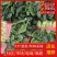 【菠菜热卖中🔥】适合各大电商平台商超批发市场
