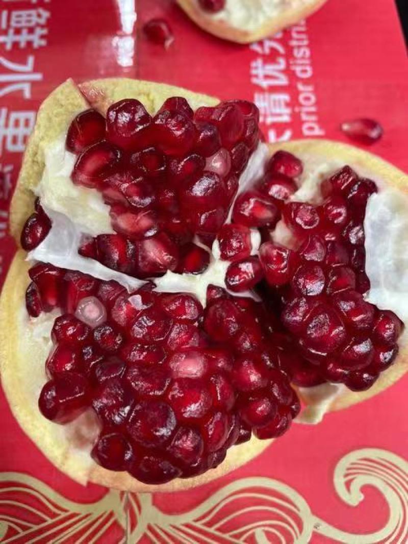 软籽石榴苗石榴种植管理技术保质保量量大从优